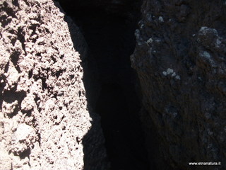 otta delle femmine di monte Nero-12-05-2013 11-49-19